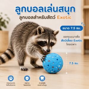 ลูกบอลเล่นสนุก ขนาด 7.5 เซนติเมตร ขนาดกำลังดีสำหรับการกลิ้ง คาบ