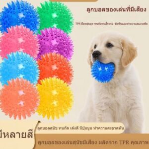 ลูกบอล TPR มีเสียง สำหรับสุนัข 🐶💰 ขายยกโหล