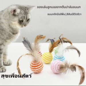 ลูกบอลเชือกขนนกสำหรับแมว 🐱🪶ขายส่ง ยกลัง 50 ชิ้น 