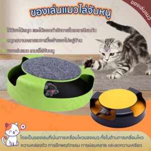 ของเล่นแมวไล่จับหนู 🐭🐱