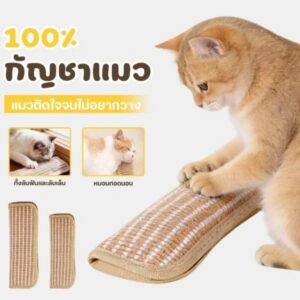 แผ่นกัญชาแมว พร้อมที่ลับเล็บ 2in1 🐱🌿