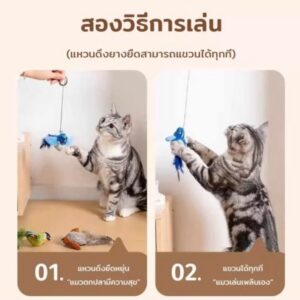 ของเล่นนกจำลองมีเสียง พร้อมเชือกยางยืดแขวนได้ 🐦🐱