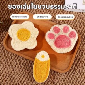 ของเล่นใยบวบธรรมชาติสำหรับแมว 🌿🐱