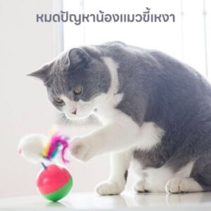 🐱 ลูกบอลเด้งของเล่นแมว พร้อมขนนก