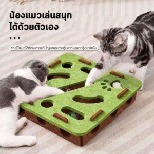 🐱 กล่องเกมฝึกสมองแมว (Cat Puzzle Box)