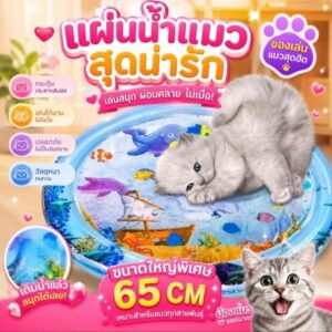 🐱 แผ่นน้ำแมวสุดน่ารัก ขนาดใหญ่ 65 ซม.