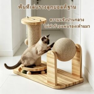 🐱 คอนโดลับเล็บแมว 3 in 1 พร้อมลูกบอลเชือก