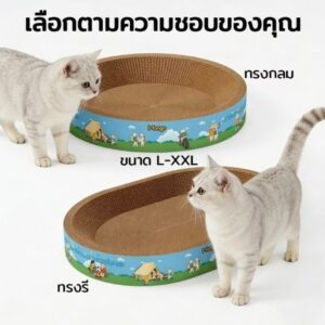 🐱 ที่ลับเล็บแมว ขอบหนา 2 ทรง (ทรงกลม / ทรงรี)📦 ยกลังคละ 2 ทรง 💰 ลังละ 20 ชิ้น